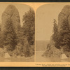 Rooster Rock', curious rock formation along the Columbia River, Oregon.