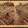 Stupendous Log-raft, containing millions of feet. Columbia River, Oregon.