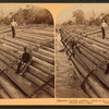 Stupendous Log-raft, containing millions of feet. Columbia River, Oregon.