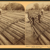 Stupendous Log-raft, containing millions of feet. Columbia River, Oregon.