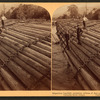 Stupendous Log-raft, containing millions of feet. Columbia River, Oregon.