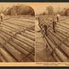 Stupendous Log-raft, containing millions of feet. Columbia River, Oregon.