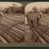 Stupendous Log-raft, containing millions of feet. Columbia River, Oregon.