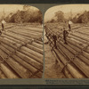 Stupendous Log-raft, containing millions of feet. Columbia River, Oregon.