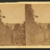 View of the Upper Cascades. Columbia River.