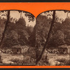 Deer hunters cabin, among the Alleghenies.