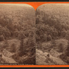 From the P. R. R. up Glen White Hollow.