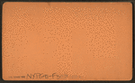 From Allegrippus east.
