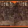 Pic nic ground, at Lloydsville on the Bells Gap R. R.