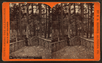 Pic nic ground, at Lloydsville on the Bells Gap R. R.