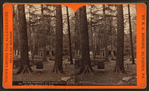 Pic nic ground, at Lloydsville on the Bells Gap R. R.