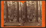 Pic nic ground, at Lloydsville on the Bells Gap R. R.
