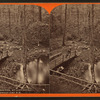 Pic nic ground, at Lloydsville on the Bells Gap R. R.