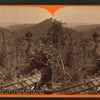 Across the ravine, below Point Look-out, on the Bell’s Gap R. R.