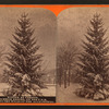 Winter at Cresson, summer resort, on the P. R. R. among the wilds of the Alleghenies.