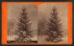 Winter at Cresson, summer resort, on the P. R. R. among the wilds of the Alleghenies.