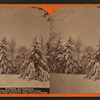 Winter at Cresson, summer resort, on the P. R. R. among the wilds of the Alleghenies.