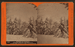 Winter at Cresson, summer resort, on the P. R. R. among the wilds of the Alleghenies.