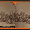 Winter at Cresson, summer resort, on the P. R. R. among the wilds of the Alleghenies.