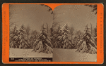 Winter at Cresson, summer resort, on the P. R. R. among the wilds of the Alleghenies.