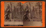 Winter at Cresson, summer resort, on the P. R. R. among the wilds of the Alleghenies.