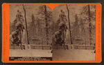 Winter at Cresson, summer resort, on the P. R. R. among the wilds of the Alleghenies.