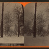 Winter at Cresson, summer resort, on the P. R. R. among the wilds of the Alleghenies.