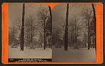 Winter at Cresson, summer resort, on the P. R. R. among the wilds of the Alleghenies.