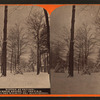 Winter at Cresson, summer resort, on the P. R. R. among the wilds of the Alleghenies.