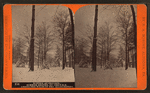 Winter at Cresson, summer resort, on the P. R. R. among the wilds of the Alleghenies.