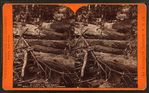 Haunts of the trout, below Red Lick, near Cresson.