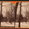 Cresson, a summer resort on the P. R. R. among the wilds of the Alleghenies.