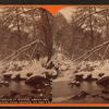 Trout stream in winter, among the Alleghenies near Cresson, on the P. R. R.