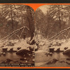 Trout stream in winter, among the Alleghenies near Cresson, on the P. R. R.