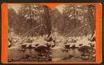 Trout stream in winter, among the Alleghenies near Cresson, on the P. R. R.