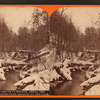 Trout stream in winter, among the Alleghenies near Cresson, on the P. R. R.