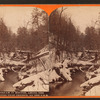 Trout stream in winter, among the Alleghenies near Cresson, on the P. R. R.
