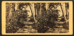 Sinking Run – near Tyrone City, Pennsylvania.