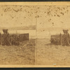 The grave of John Harris, with the Susquehannah [sic] in the background.