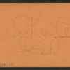 From Alligrippus Cut.