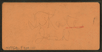 From Alligrippus Cut.