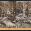 Hollow sycamore, Oil Creek. [Group portrait of men and boys in the hollow bole of a tree.]