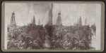 Oil derricks.