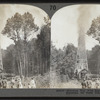 Stereoscopic views of the oil region of Pennsylvania and New York.