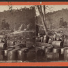Shipping oil, Story Farm.