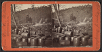 Shipping oil, Story Farm.