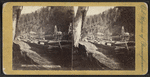 Shipping oil, McElhany's Farm.