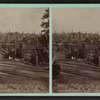 West side, Triumph Hill, 50 derricks.