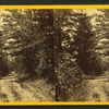 Ladywood Lane, Glendyberry Cemetery, near Honesdale.