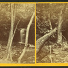 Caldeno Falls, Pike Co., Pa.